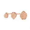 Naomi Rose Gold Double Ring In Rose Gold Drusy -Kendra Scott 842177129838 00 default lg