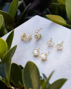 Cailin Gold Crystal Stud Earrings In White Crystal -Kendra Scott Kendra Scott Cailin Stud Earring White Crystal Gold 01