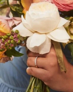 Raleigh 14k Yellow Gold Band Ring In White Diamond 8 Raleigh 14k Yellow Gold Band Ring In White Diamond -Kendra Scott kendra scott raleigh band ring 14k yellow gold white diamond 1